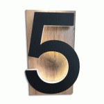 8" Height Illuminated Individual Number